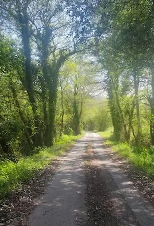 Apartment Rua Barreiros