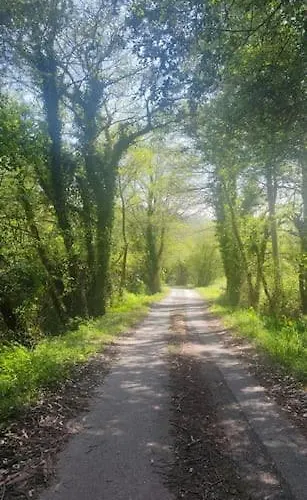 公寓 Rua 巴雷罗斯